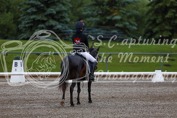 2025 - Dressage Festival - Sunday July 6th - 00152