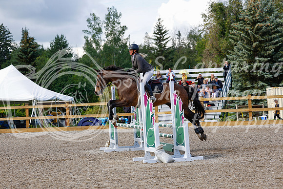 2025 - Haylee - Picco Horse Show - Sunday July 27th 02945