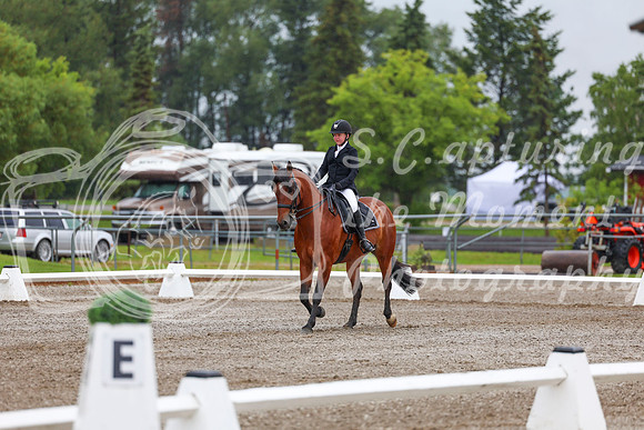 2025 - Dressage Festival - Sunday July 6th - 01059