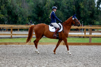 2025 - Haylee - Picco Horse Show - Saturday July 26th 00527