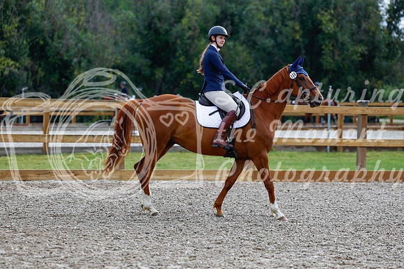 2025 - Haylee - Picco Horse Show - Saturday July 26th 00527