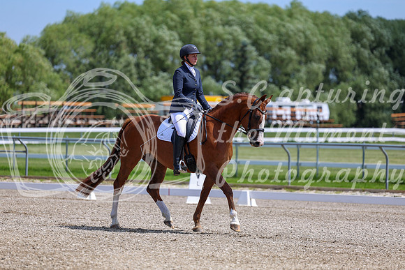 2025 - Dressage Festival - Saturday July 5th - 06369