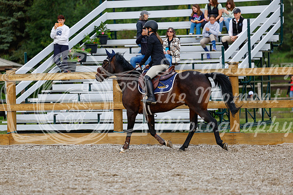2025 - Haylee - Picco Horse Show - Saturday July 26th 00691