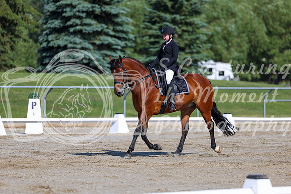 2025 - Dressage Festival - Saturday July 5th - 01874