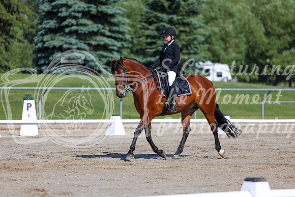 2025 - Dressage Festival - Saturday July 5th - 01873