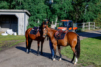 2025 - Haylee - Picco Horse Show - Thursday July 24th 00008