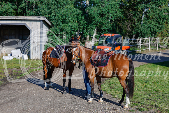 2025 - Haylee - Picco Horse Show - Thursday July 24th 00008