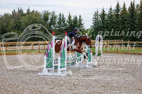 2025 - Haylee - Picco Horse Show - Saturday July 26th 01848