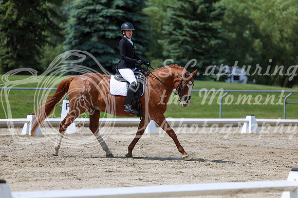 2025 - Dressage Festival - Saturday July 5th - 10146