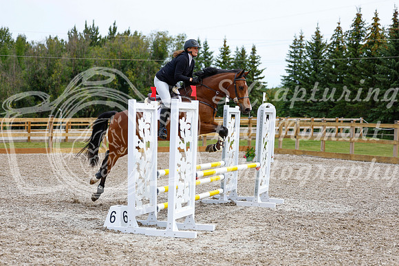 2025 - Haylee - Picco Horse Show - Friay July 25th 01940