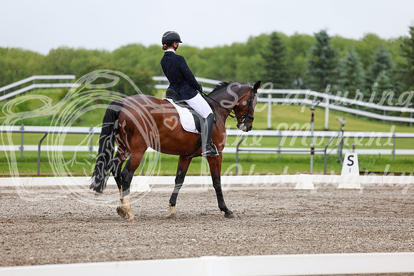 2025 - Dressage Festival - Sunday July 6th - 04264