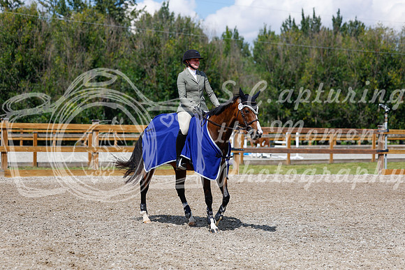 2025 - Haylee - Picco Horse Show - Sunday July 27th 05524