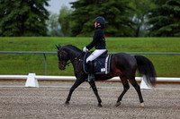 2025 - Dressage Festival - Sunday July 6th - 00018
