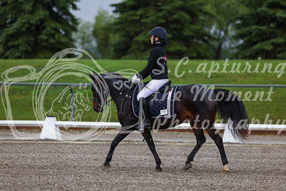 2025 - Dressage Festival - Sunday July 6th - 00018