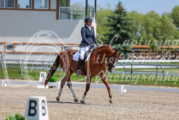 2025 - Dressage Festival - Saturday July 5th - 06357