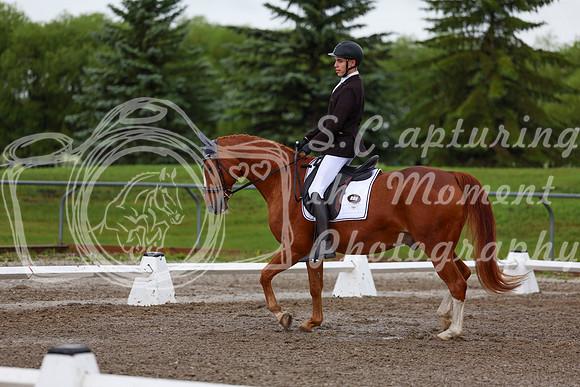 2025 - Dressage Festival - Sunday July 6th - 01333