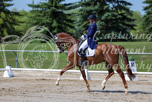 2025 - Dressage Festival - Saturday July 5th - 04264