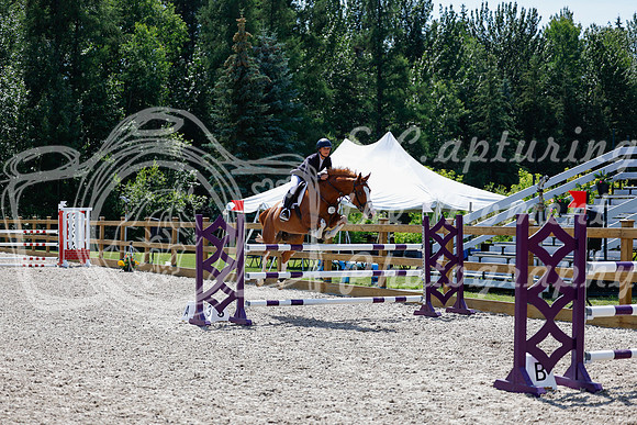 2025 - Haylee - Picco Horse Show - Thursday July 24th 03911