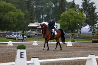 2025 - Dressage Festival - Sunday July 6th - 00345