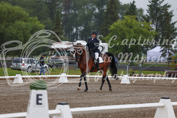 2025 - Dressage Festival - Sunday July 6th - 00345