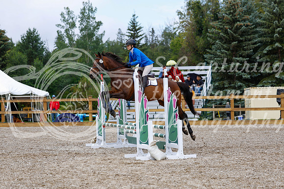 2025 - Haylee - Picco Horse Show - Sunday July 27th 01784