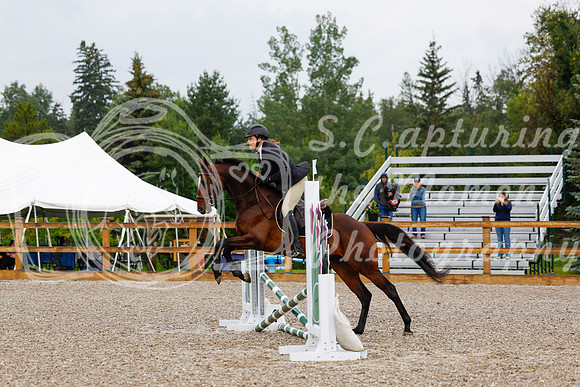 2025 - Haylee - Picco Horse Show - Sunday July 27th 00088
