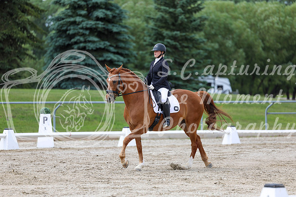 2025 - Dressage Festival - Saturday July 5th - 11177