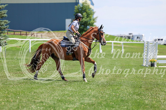 2025 - Shea - Teesdale - Thursday July 24th - 01736