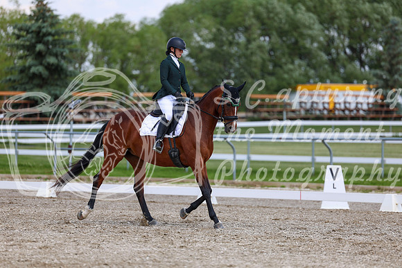 2025 - Dressage Festival - Saturday July 5th - 09513