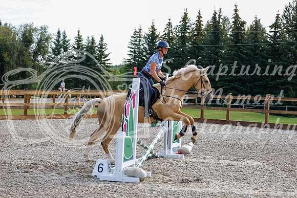 2025 - Haylee - Picco Horse Show - Saturday July 26th 00157