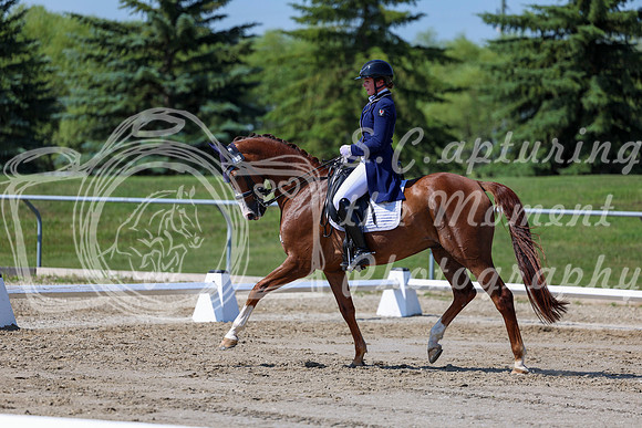 2025 - Dressage Festival - Saturday July 5th - 04271