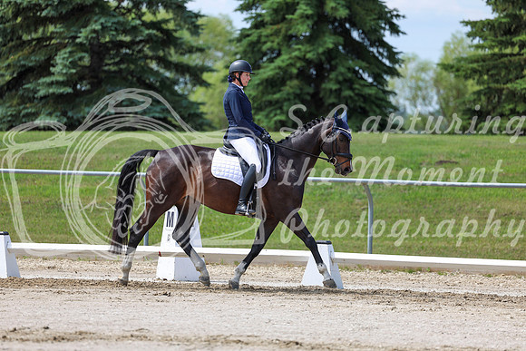 2025 - Dressage Festival - Saturday July 5th - 07553