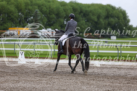 2025 - Dressage Festival - Sunday July 6th - 07112