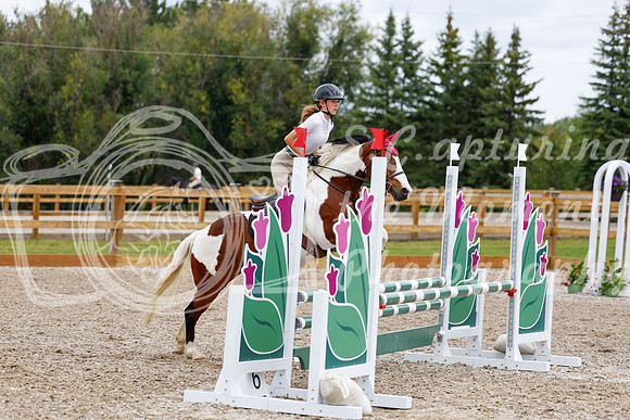 2025 - Haylee - Picco Horse Show - Saturday July 26th 04616