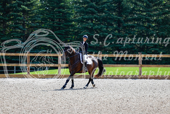 2025 - Haylee - Picco Horse Show - Sunday July 27th 02403