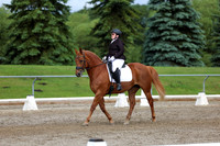2025 - Dressage Festival - Sunday July 6th - 11301