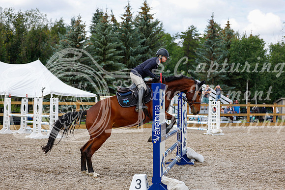 2025 - Haylee - Picco Horse Show - Saturday July 26th 06500
