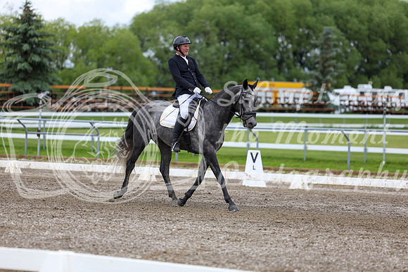 2025 - Dressage Festival - Sunday July 6th - 09876