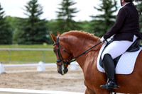 2025 - Dressage Festival - Saturday July 5th - 09311