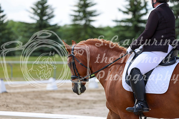 2025 - Dressage Festival - Saturday July 5th - 09311