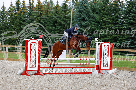 2025 - Haylee - Picco Horse Show - Saturday July 26th 06492