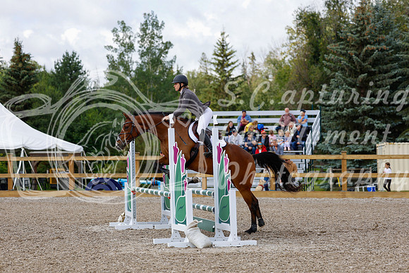 2025 - Haylee - Picco Horse Show - Sunday July 27th 02576