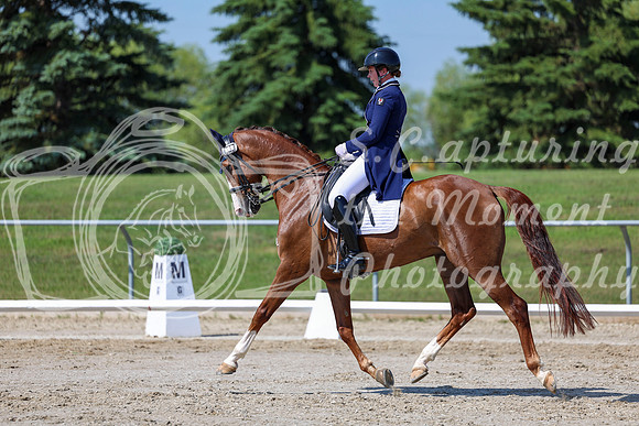 2025 - Dressage Festival - Saturday July 5th - 04257