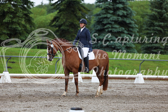 2025 - Dressage Festival - Sunday July 6th - 05227