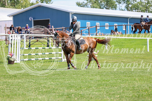 2025 - Shea - Teesdale - Thursday July 24th - 01145