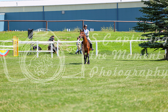 2025 - Shea - Teesdale - Thursday July 24th - 01620