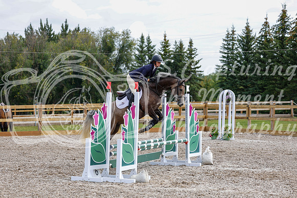 2025 - Haylee - Picco Horse Show - Saturday July 26th 03444