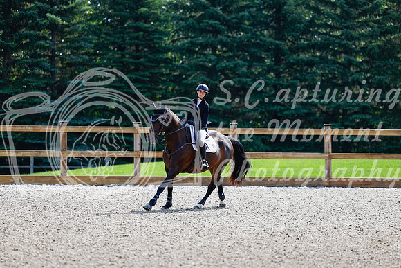 2025 - Haylee - Picco Horse Show - Sunday July 27th 02402