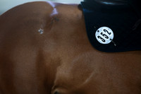 2025 - HJ Schooling - Sunday March 23rd - 5364