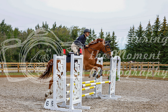2025 - Haylee - Picco Horse Show - Friay July 25th 01766